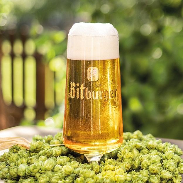 The timeless, hoppy pilsner enjoyment, unique in taste: @bitburger Premium Pilsner.

ORDER NOW on Retailer Portal via the link in our bio, or through your sales rep.

#bitburger #bitburgerpils #pilsner #pils #germanbeer #drinkbeer #beer #importedbeer #stkillianimporting @stkillianimporting